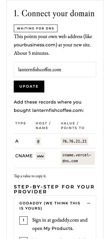 The client portal showing domain settings and step-by-step instructions