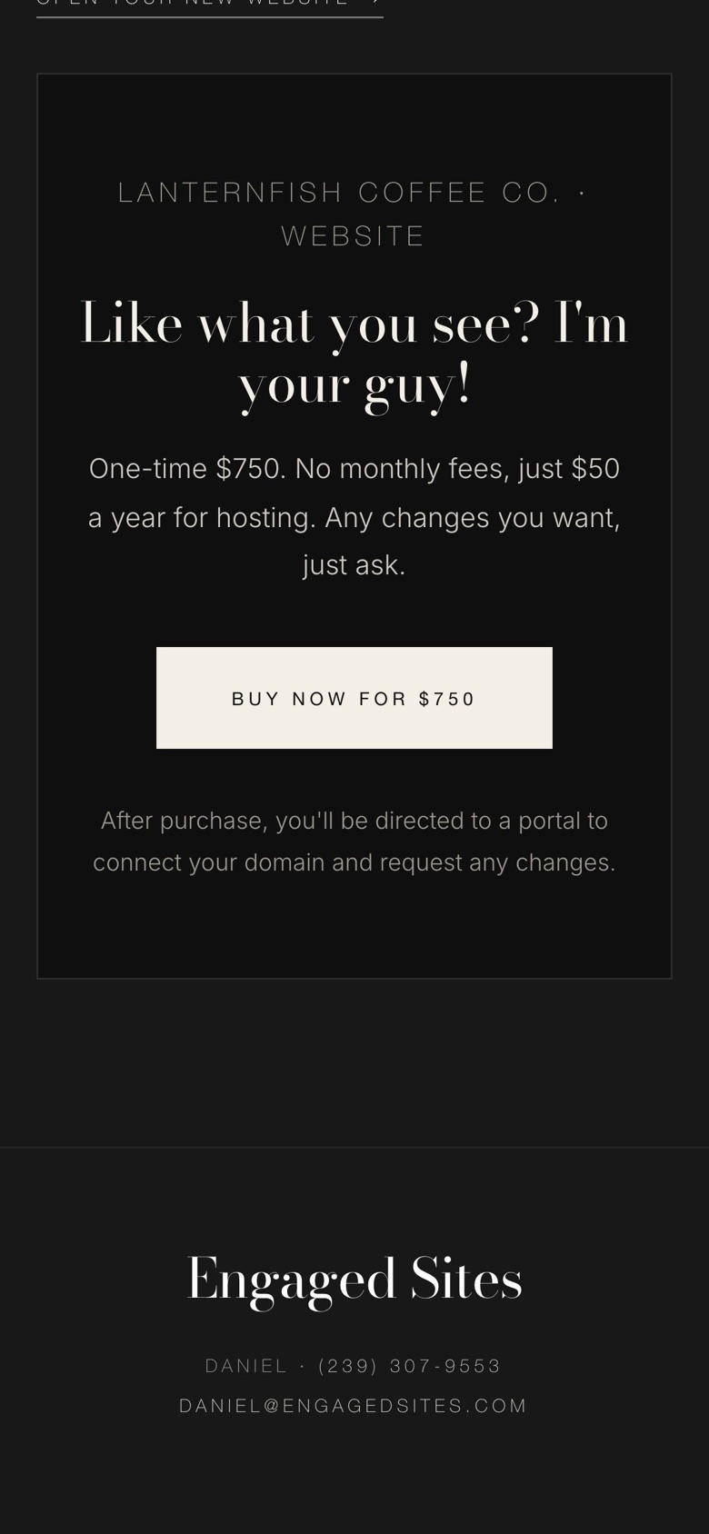 Buying the website with one payment