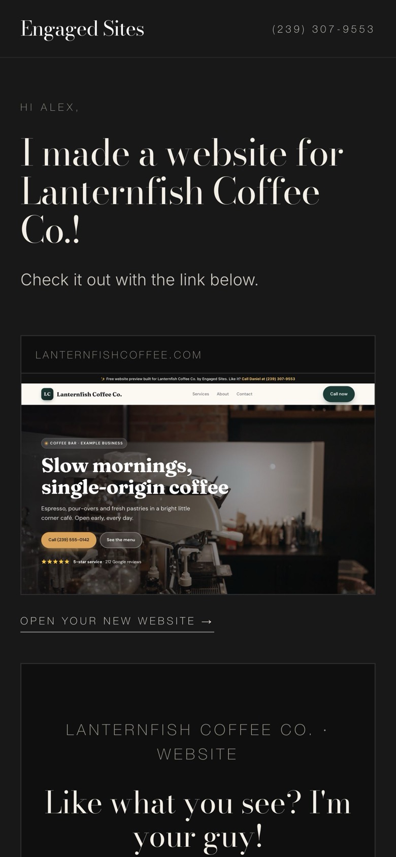 The private link that shows a business its new website